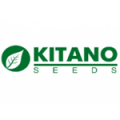 kitano_logo